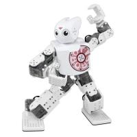 DARWIN-MINI